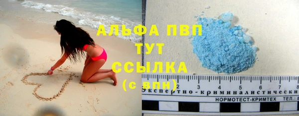 гидра Алексин