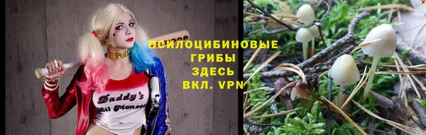 гидра Алексин