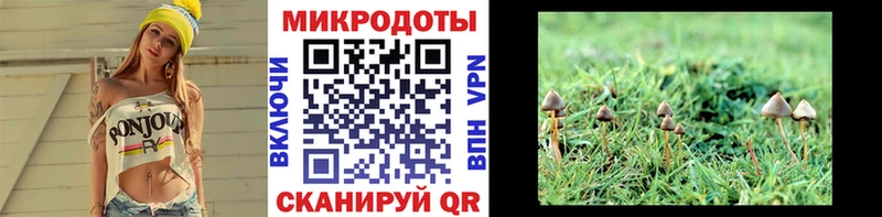 Галлюциногенные грибы Cubensis  цена   Сургут 